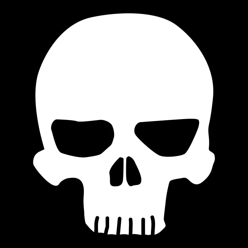 Totenkopf / skull