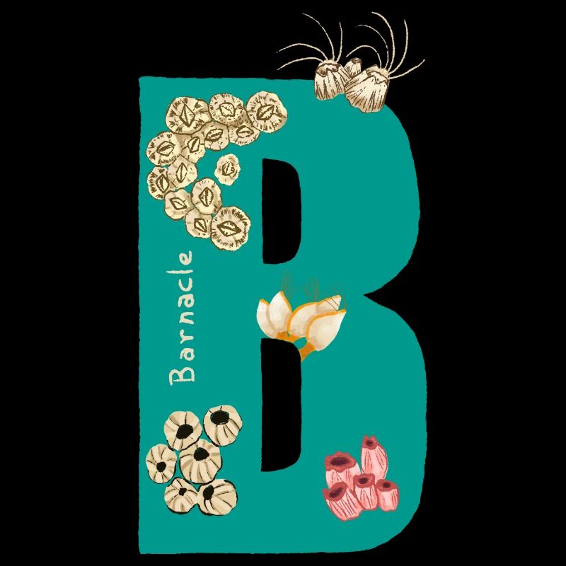 Letter B with Natural Elements Blue Green