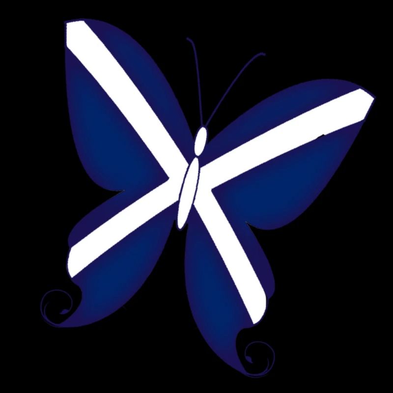 Schottischer Schmetterling
