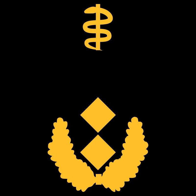 Generalstabsarzt Dienstgrad