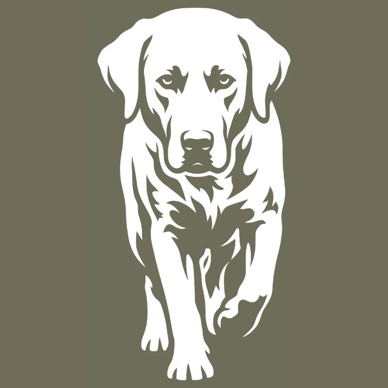 Labrador – Timeless elegance