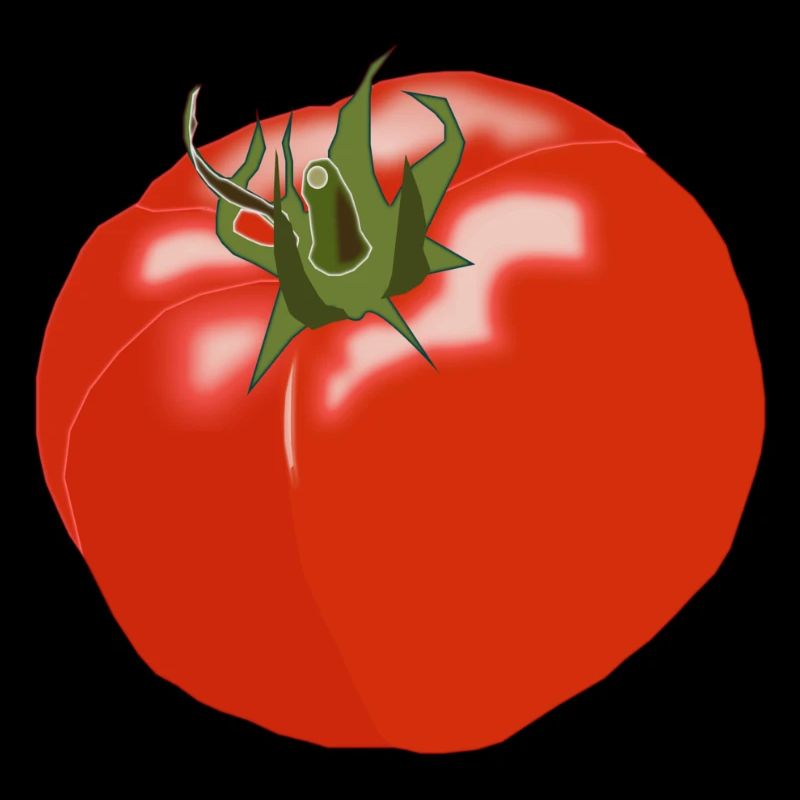 tomate tomates tomate légume vegetables5