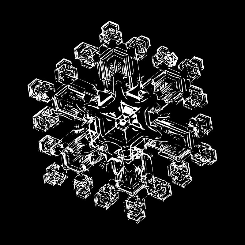 snowflake 9 white