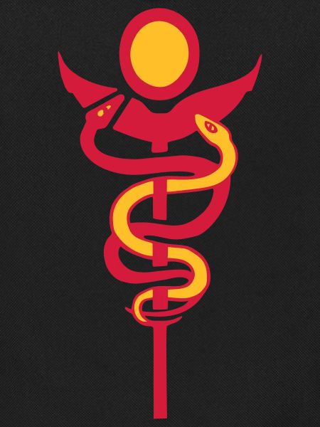 caduceus physio
