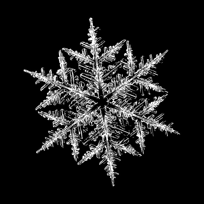 snowflake 5 white
