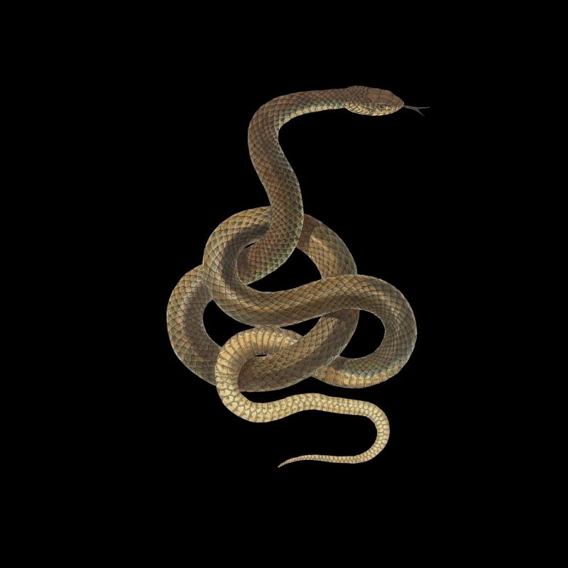 Serpent