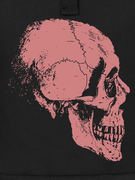 skeleton
