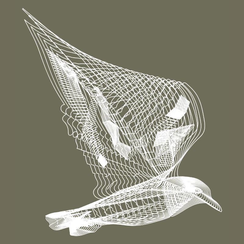 Bird Line Art