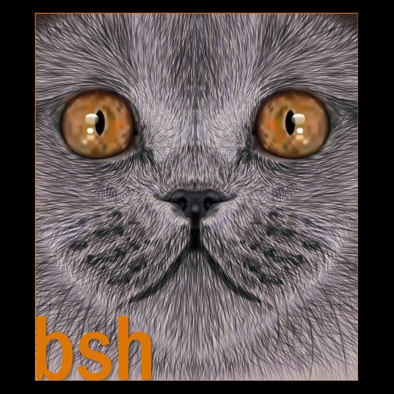 Britisch-Kurzhaar-Katze