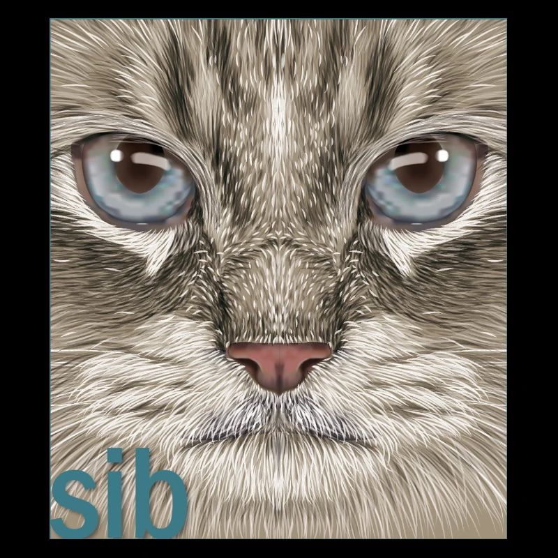 Sibirische Katze 