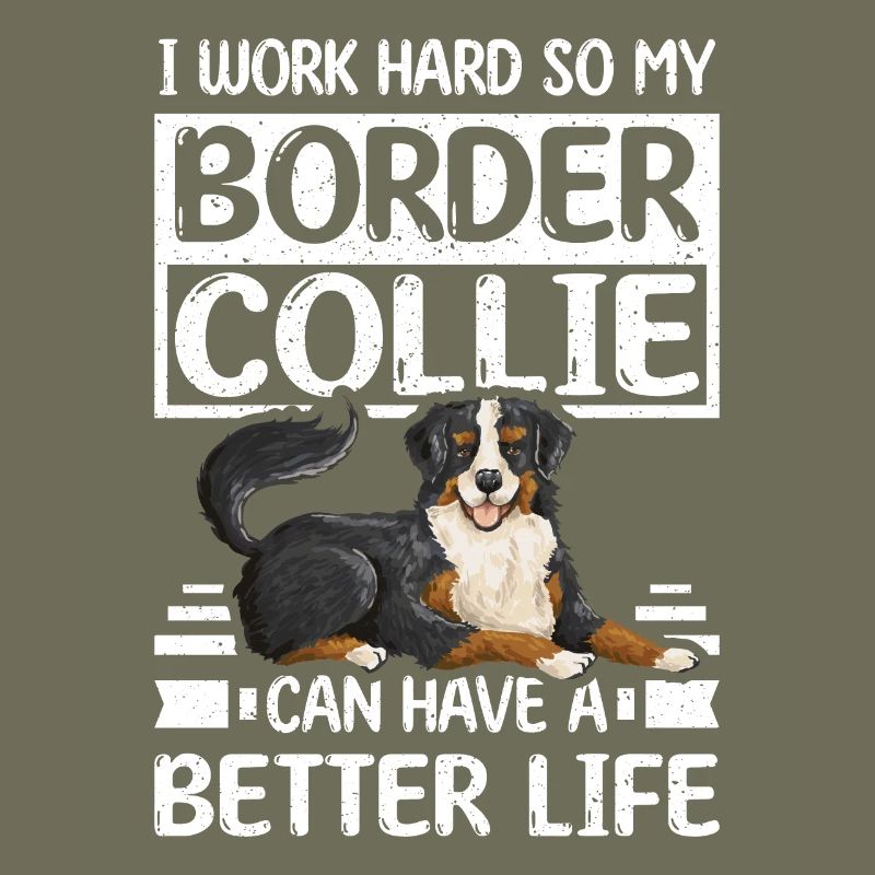 work hard border collie can have a better life