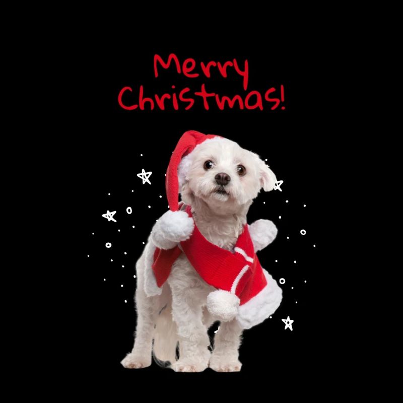 Doux Noël