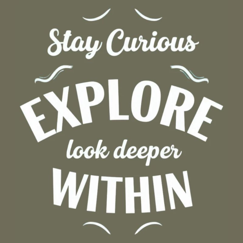Explore Interior Stay Curious