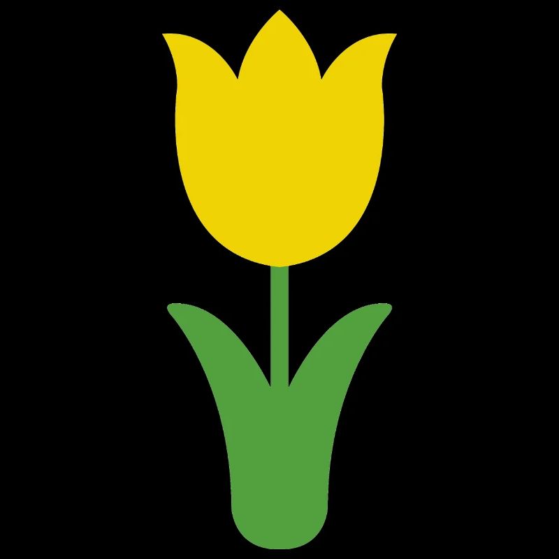 Tulip