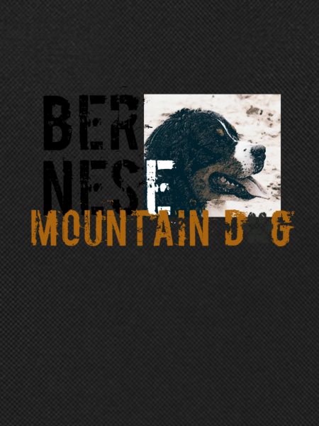 Bernese Mountaindog