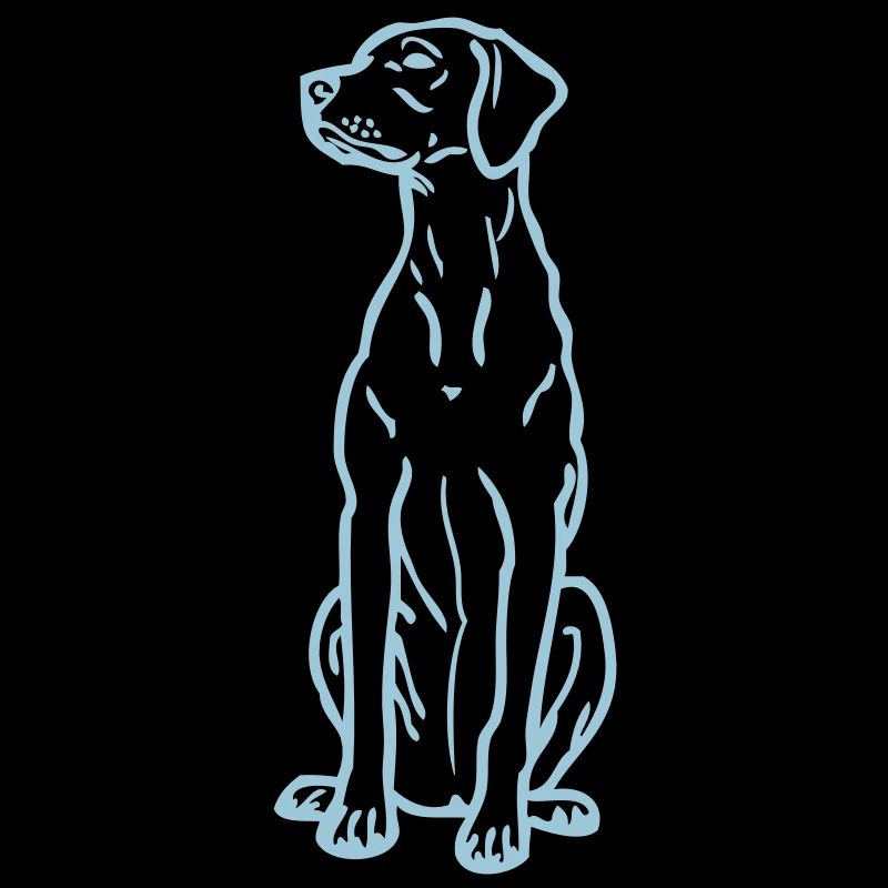 hongarianvizsla_02