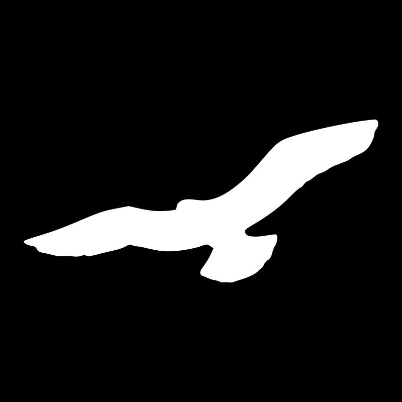 oiseau