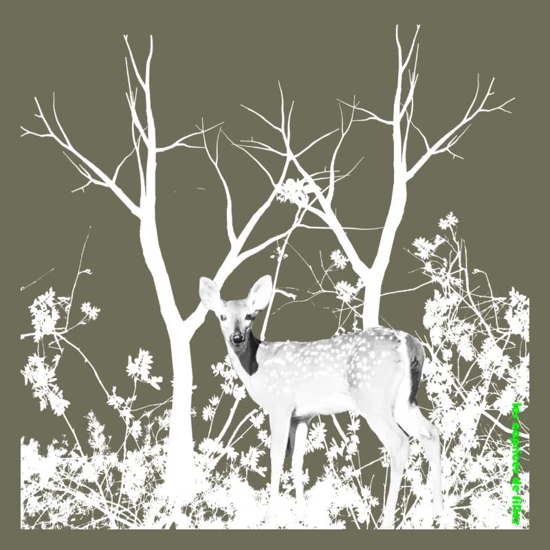 Biche Gracieuse Forêt Sauvage