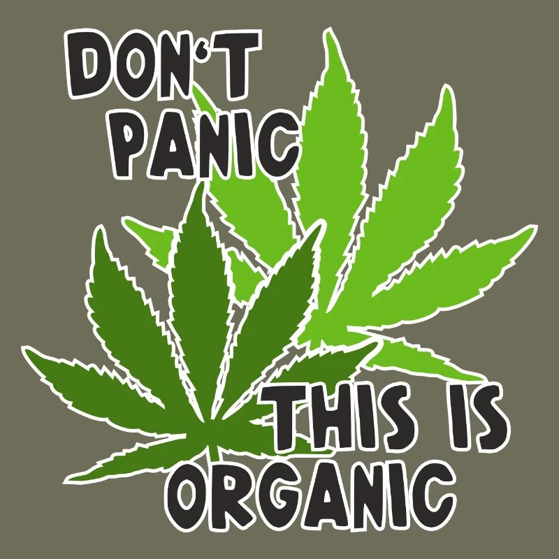 Feuilles de cannabis - Pas de panique, c’est bio 1