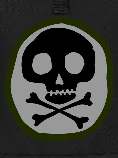 Skull and bones