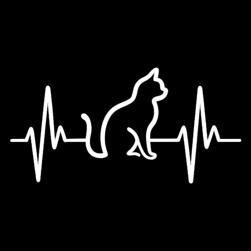 Battements de cœur de chat
