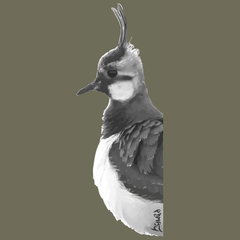 Lapwing Portrait