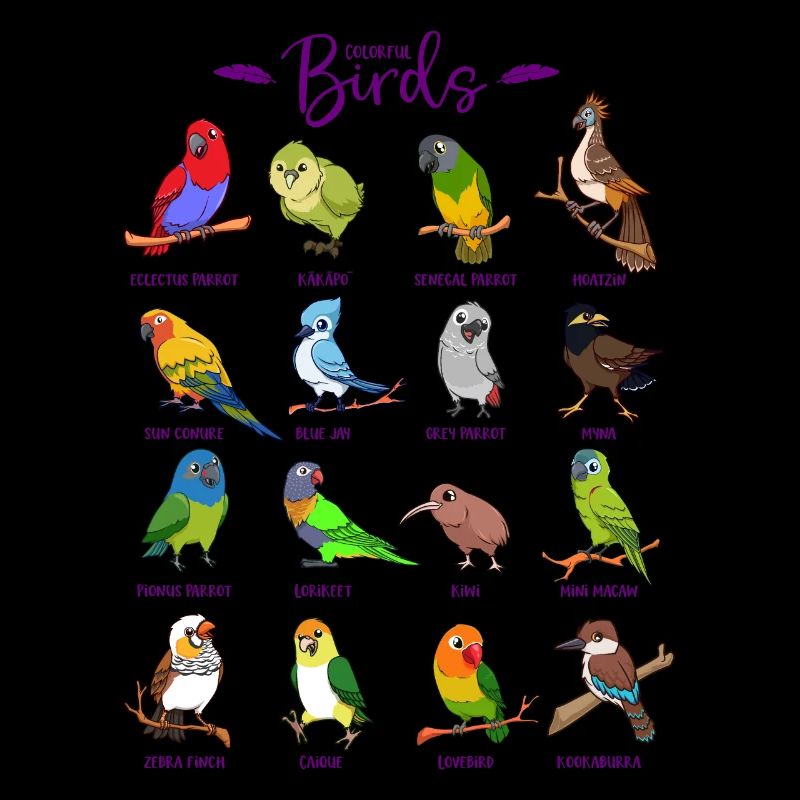 Différents oiseaux de dessin animé