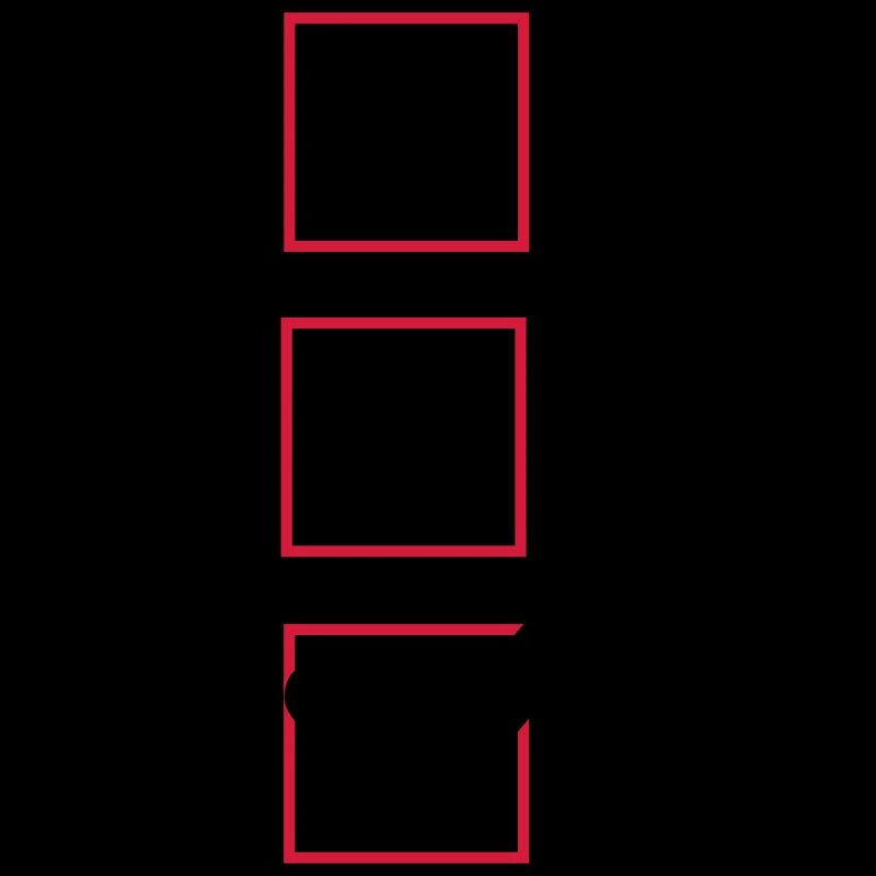 case cocher