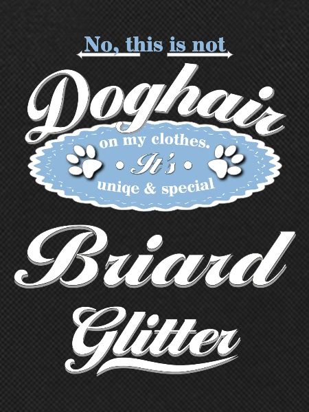 Dog glitter Briard