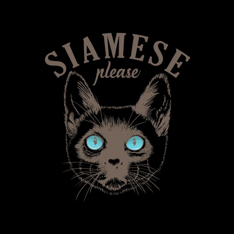 Chat siamois s’il vous plaît Race de chat de compagnie