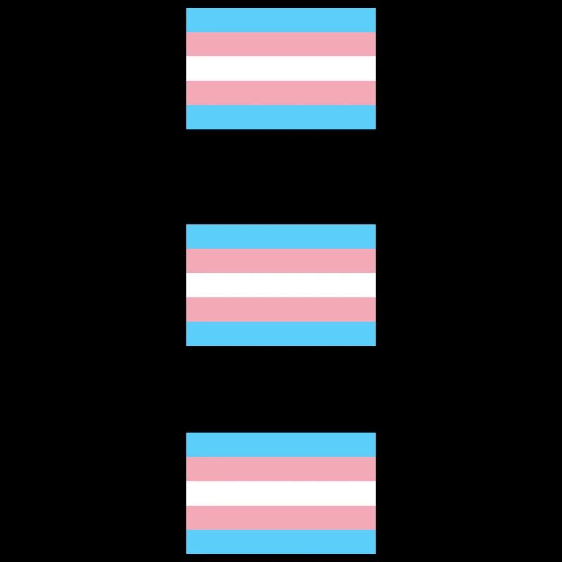 Drapeaux de la Fierté Trans