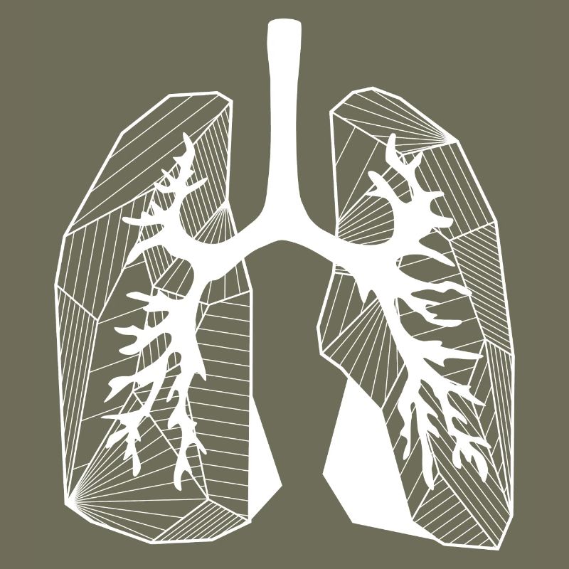 Lungs