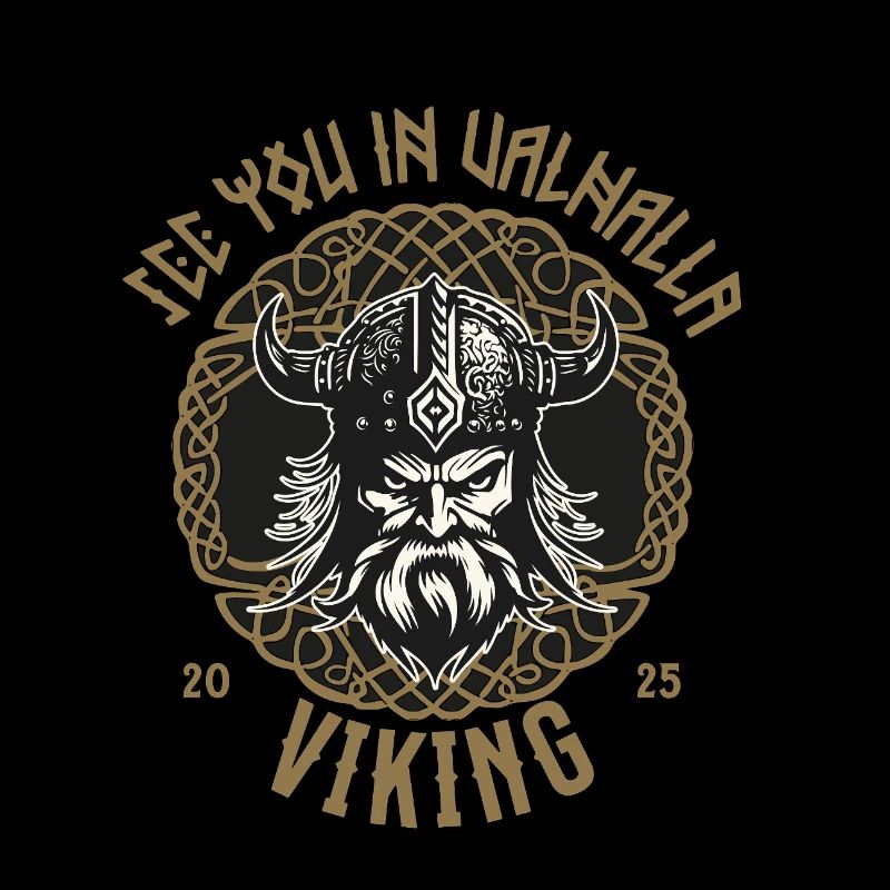 Valhalla Viking T-Shirt Pull à capuche