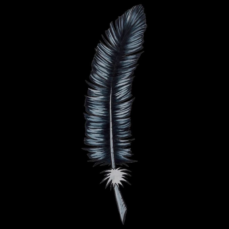 Crow feather