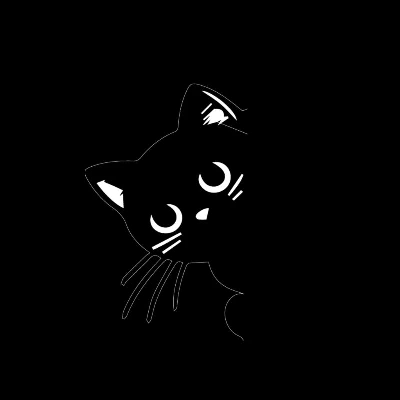 chat