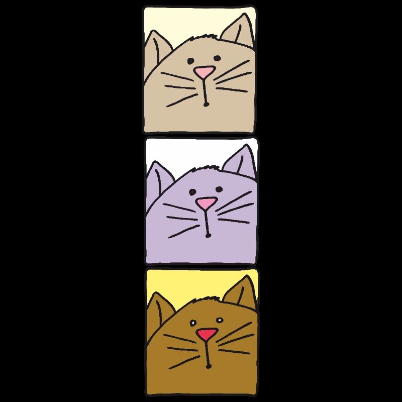 Chat triple coloré
