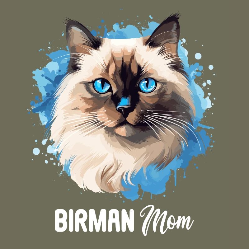 Birman Cat Birma Katze