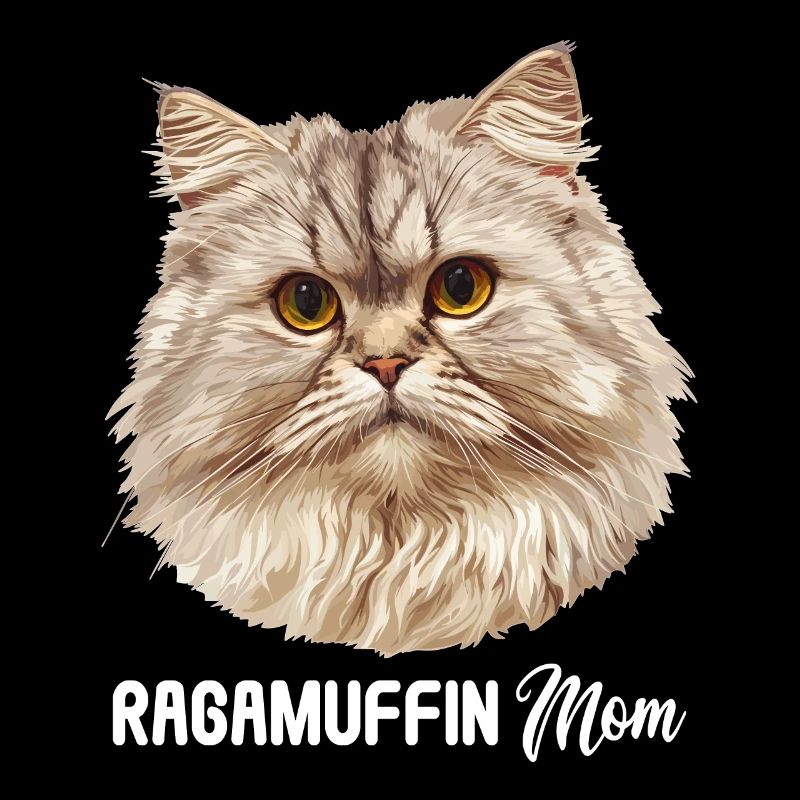Ragamuffin Kätzchen Ragamuffin Katze