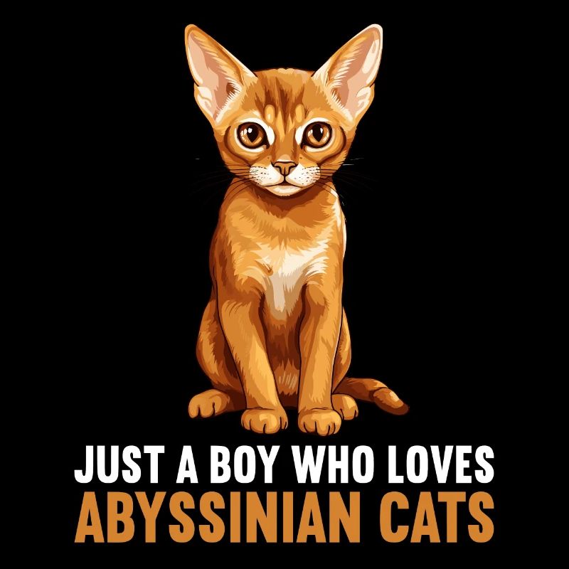 Chat d’Abyssinie Abessinierkatze