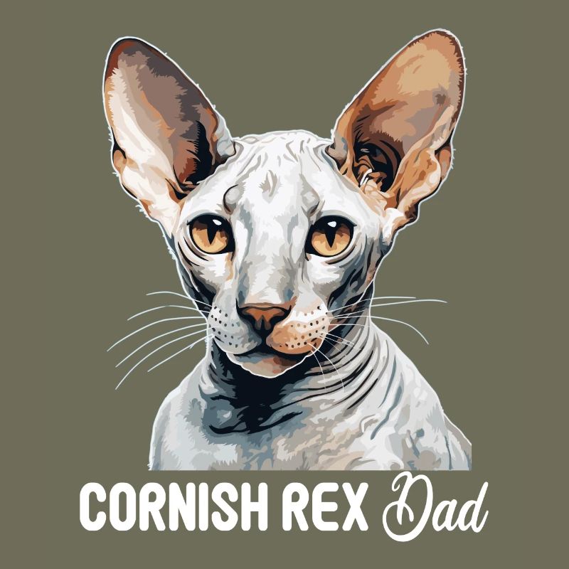 Chaton Cornish Rex Chat Cornish Rex