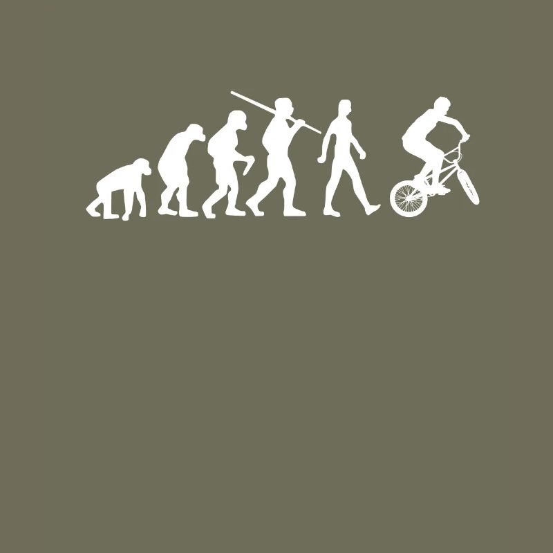 BMX Evolution BMX Bike