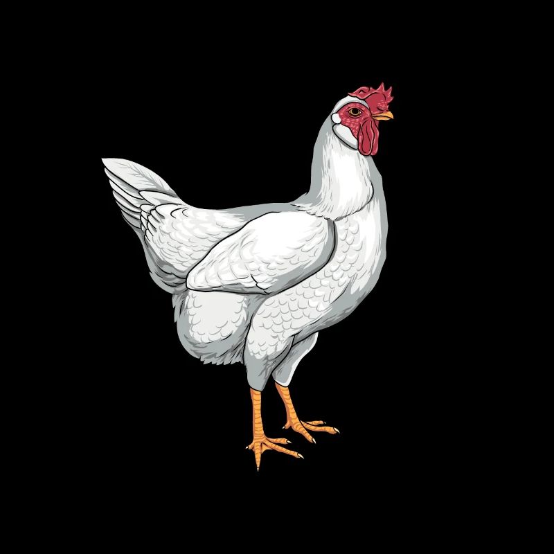 Leghorn