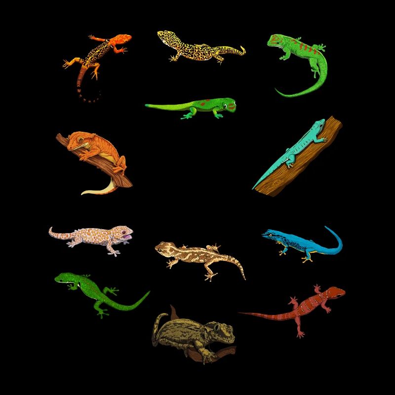 I love geckos