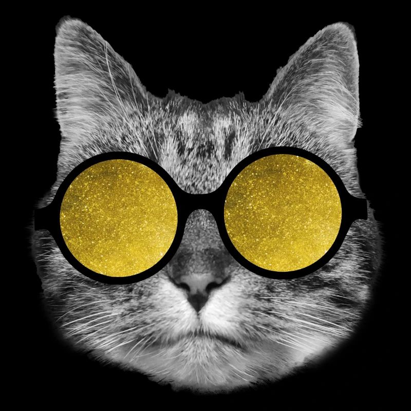 Lunettes de soleil pour chat