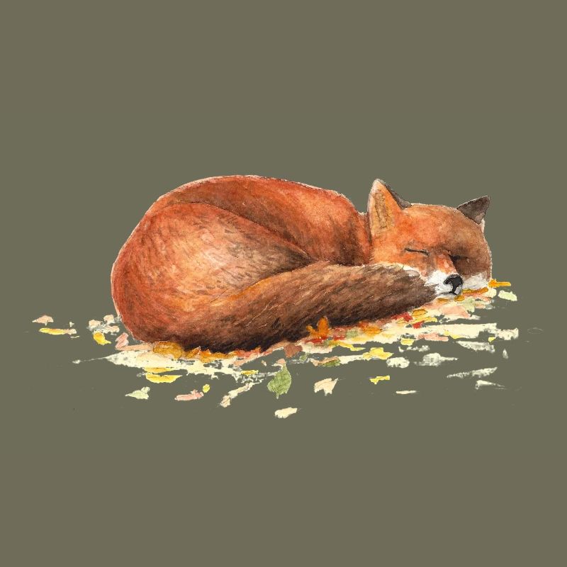 Fuchs
