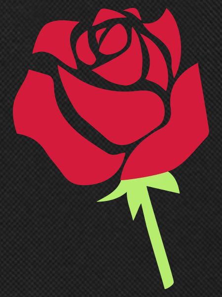 rose