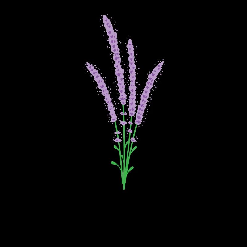 belle plante de lavande à fleurs