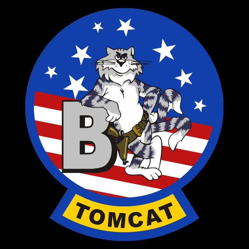 Tomcat F-14 B