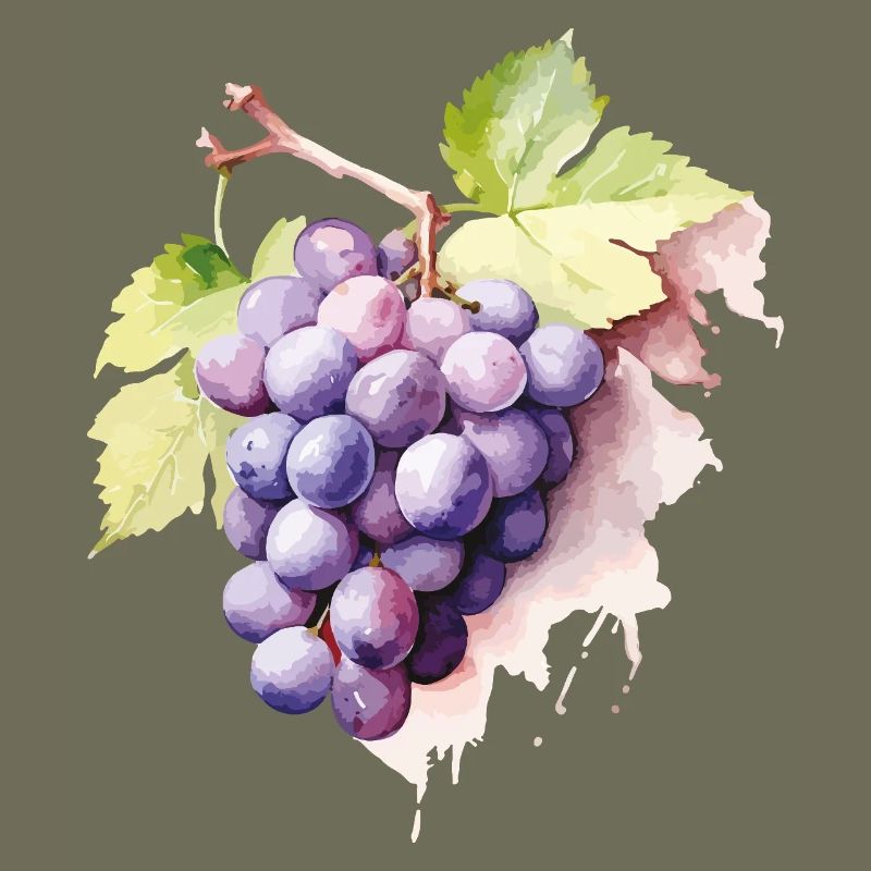 Grappe d’aquarelle de raisins