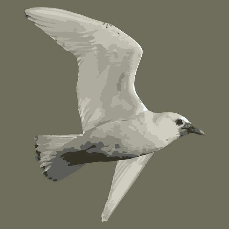 Oiseau